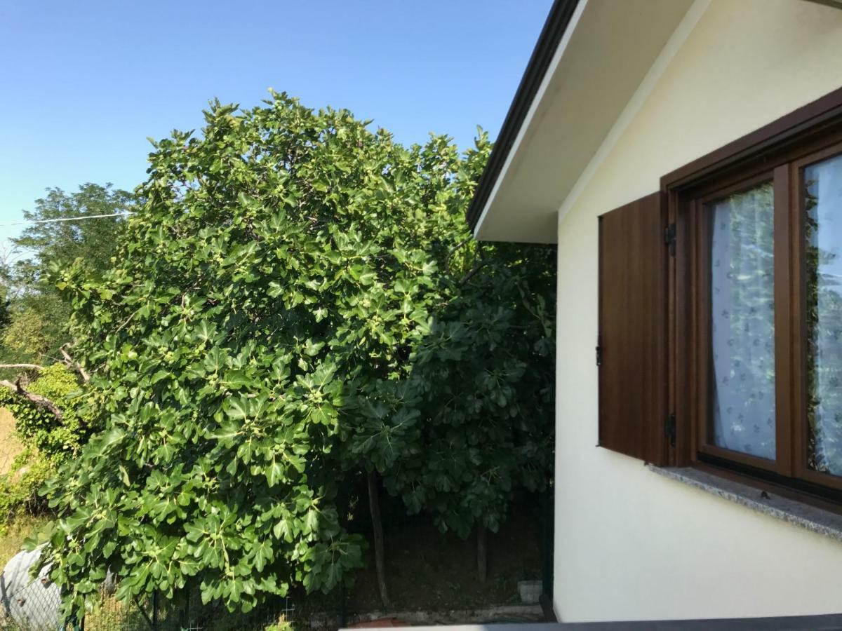 La Casa Di Nonna Bruna Múggia المظهر الخارجي الصورة