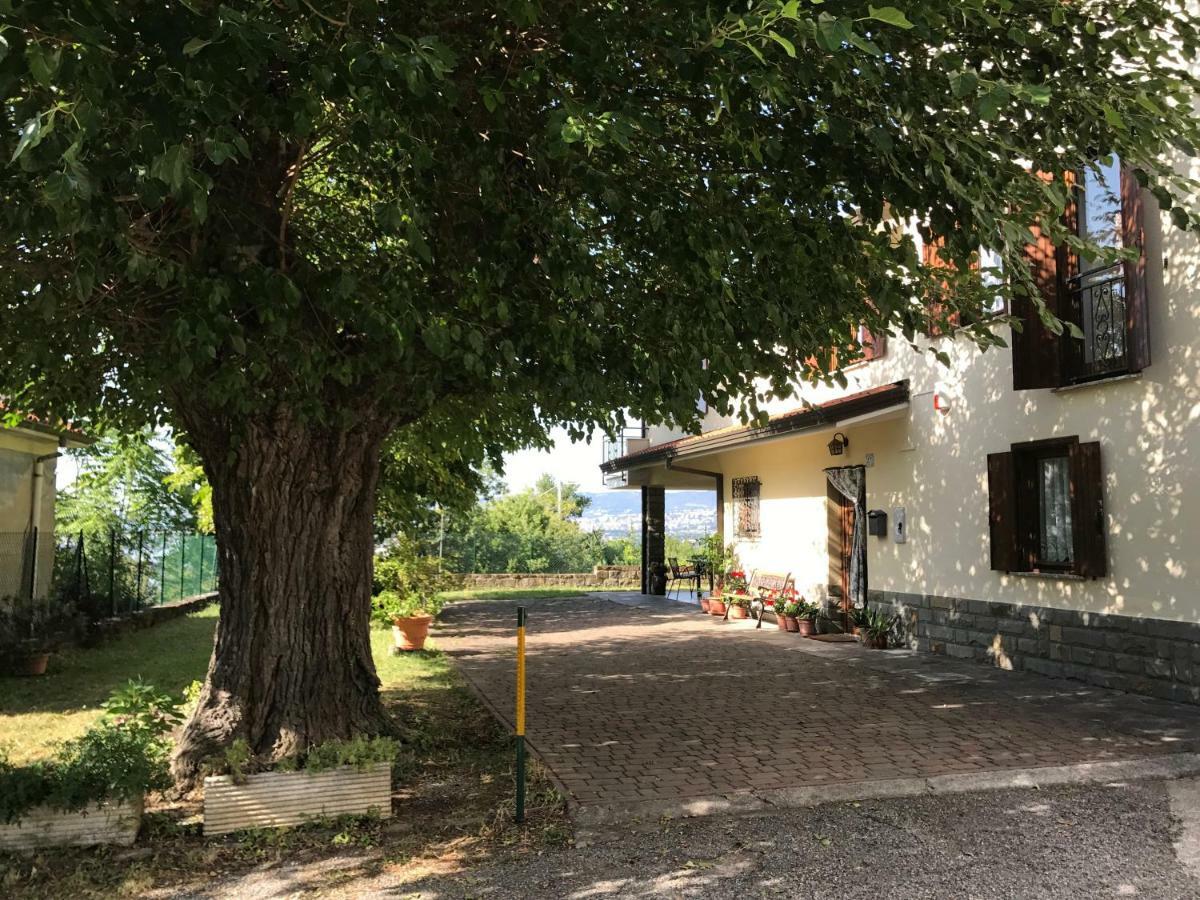 La Casa Di Nonna Bruna Múggia المظهر الخارجي الصورة